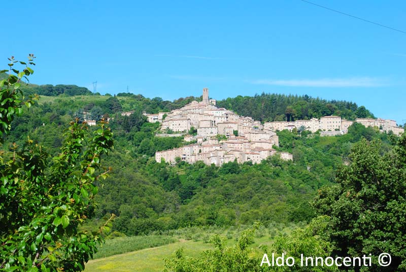 CASTELNUOVO VAL DI CECINA: PANORAMA 2' IMMAGINE
